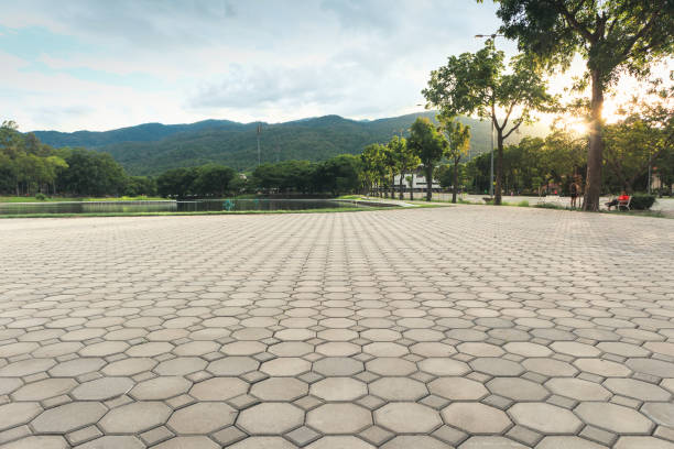 Best Local Driveway Pavers  in Winfield, IA